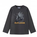 Buso explorer Gris, mayoral